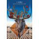 Карти Руни: Путівник Тварин - Animal Guide Rune Cards. Blue Angel
