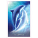Оракул Серцевих Послань Дельфіна - Whispers Of The Dolphin Heart Oracle. Blue Angel