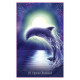 Оракул Серцевих Послань Дельфіна - Whispers Of The Dolphin Heart Oracle. Blue Angel