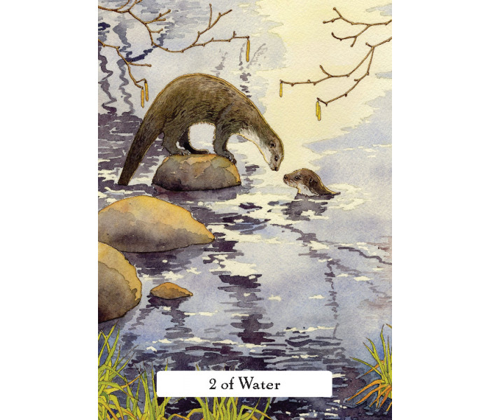 Таро Мудрості Відьом (Стандартне видання) – The Witches Wisdom Tarot (Standard Edition). Hay House