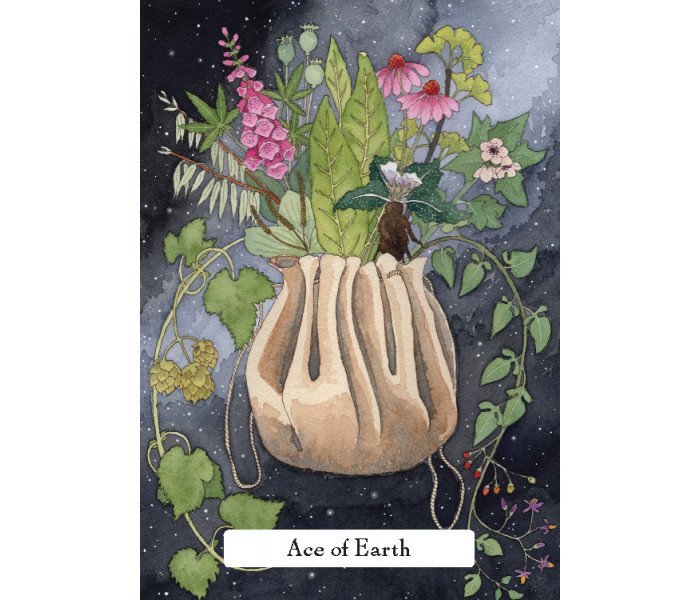 Таро Мудрості Відьом (Стандартне видання) – The Witches Wisdom Tarot (Standard Edition). Hay House