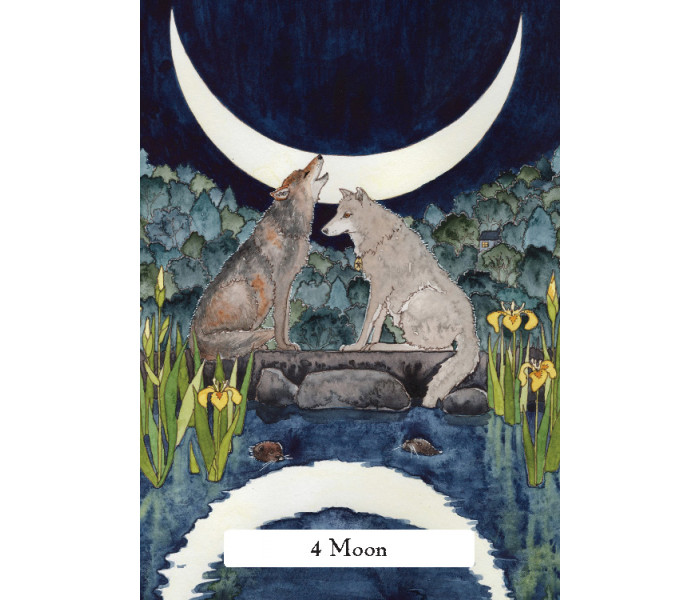 Таро Мудрості Відьом (Стандартне видання) – The Witches Wisdom Tarot (Standard Edition). Hay House