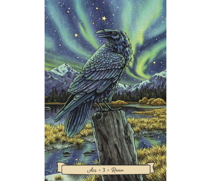 Оракул Фамільярів Повсякденної Відьми - Everyday Witchs Familiars Oracle. Llewellyn