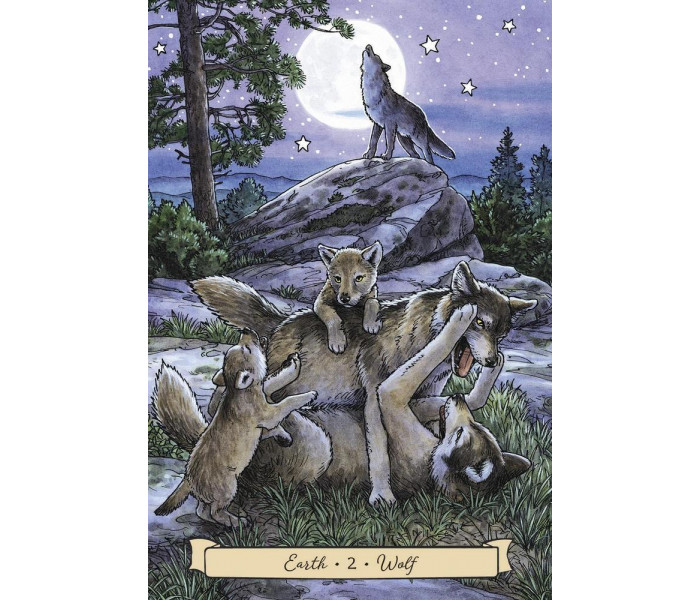 Оракул Фамільярів Повсякденної Відьми - Everyday Witchs Familiars Oracle. Llewellyn