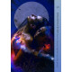Оракул Цілющого Серця - Healing Heart Oracle. Rockpool Publishing