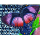 Карти афірмацій мудреця Індиго - Indigo Sage Affirmation Cards. Rockpool Publishing