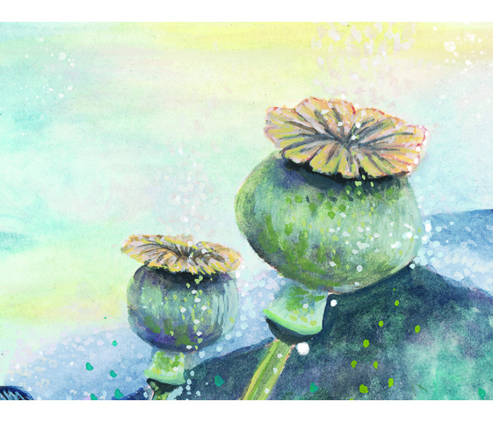 Карти афірмацій мудреця Індиго - Indigo Sage Affirmation Cards. Rockpool Publishing