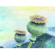 Карти афірмацій мудреця Індиго - Indigo Sage Affirmation Cards. Rockpool Publishing