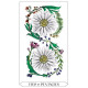 Люміна Таро - Lumina Tarot. Rockpool Publishing
