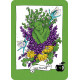 Оракул Здорової Відьми - Healthy Witch Oracle. Schiffer Publishing