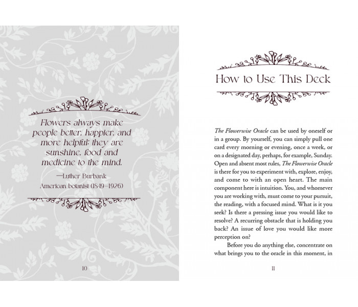 Оракул Квіткової Мудрості - The Flowerwise Oracle. Schiffer Publishing