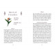 Оракул Квіткової Мудрості - The Flowerwise Oracle. Schiffer Publishing