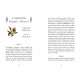 Оракул Квіткової Мудрості - The Flowerwise Oracle. Schiffer Publishing