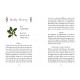Оракул Квіткової Мудрості - The Flowerwise Oracle. Schiffer Publishing