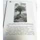 Обновленное издание Оракул Затмение Амира ( книга + карты)