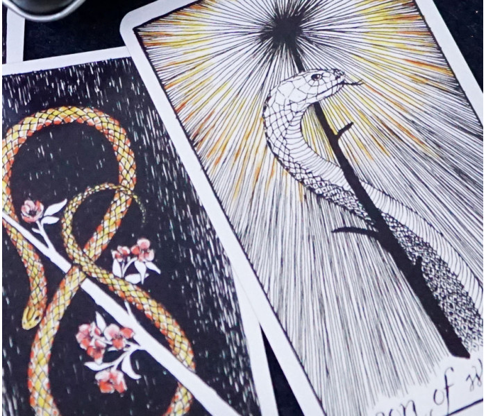 Дике Невідоме Таро - Wild Unknown Tarot in a tin. China (9420323)