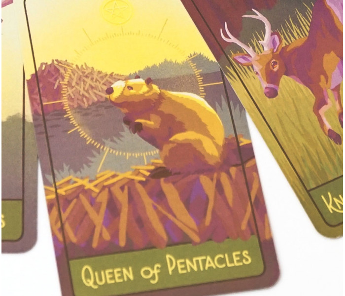 Таро Тихоокеанського Північного Заходу (The Pacific Northwest Tarot) China (9420249)
