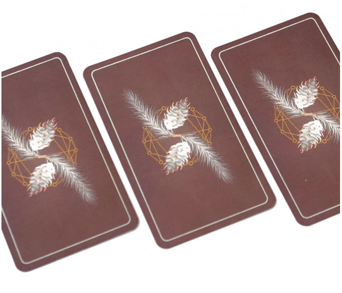 Таро Тихоокеанського Північного Заходу (The Pacific Northwest Tarot) China (9420249)