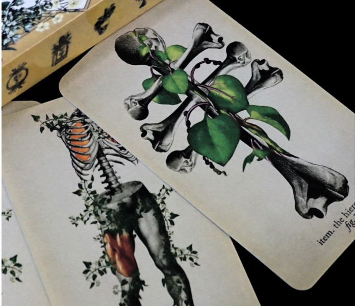 Таро Античної Анатомії - Antique Anatomy Tarot. China (9420067)