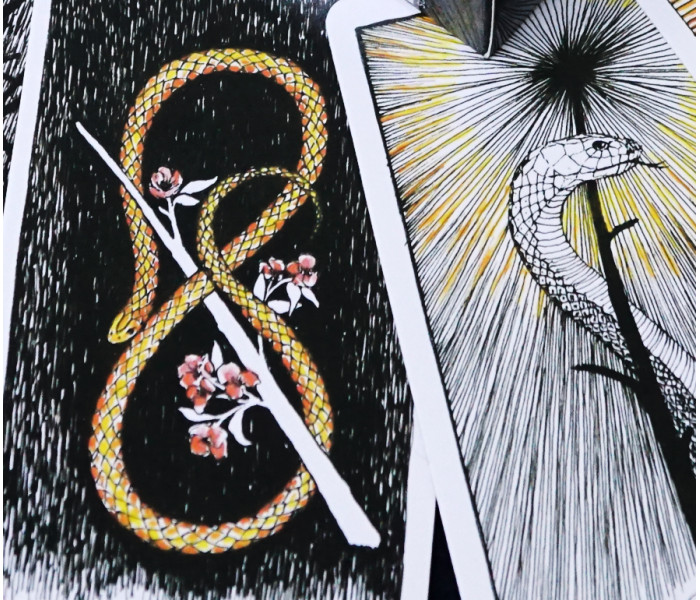 Таро Дике Невідоме Кім Кранс - The Wild Unknown Tarot. China (9420160)