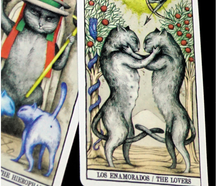 Таро Котів Анни Хуан - Tarot Cats by Ana Juan. China (9420117)