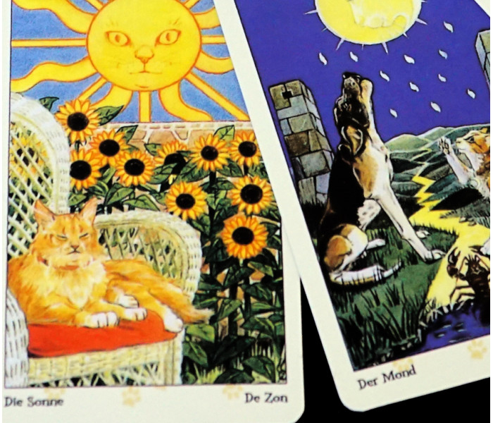 Таро Язичницьких кішок - Tarot of Pagan Cats. China (9420162)