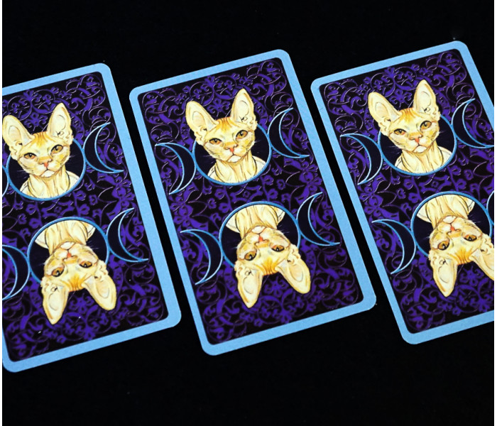 Таро Язичницьких кішок - Tarot of Pagan Cats. China (9420162)