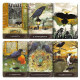 Оракул Міського Ворона - Urban Crow Oracle Cards (UA)