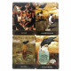 Оракул Міського Ворона - Urban Crow Oracle Cards (UA)