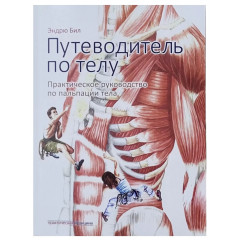 Книга Путеводитель по телу. Практическое руководство по пальпации тела. Бил Эндрю (Большой формат) (8687)