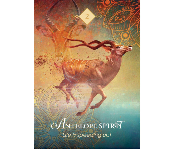 Міні Оракул Дух Тварини - The Spirit Animal Pocket Oracle. Hay House