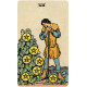 Безрамочное Мини Таро Смита-Уэйта - Smith-Waite Tarot Deck Borderless Mini Edition. US Games Systems