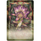 Афірмації: Світло всередині - The Light Within Affirmation Cards. US Games Systems