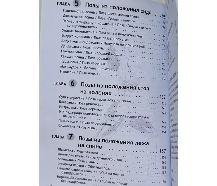 Книга Анатомия йоги. Каминофф Лесли