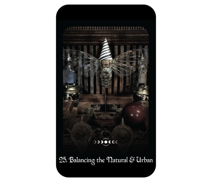 Оракул Готичної Відьми - Gothic Witchs Oracle. Crossed Crow Books