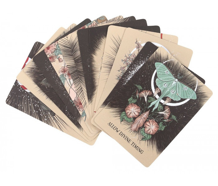 Судьба: Карманный Оракул Любви - Fated: A Pocket Love Oracle. Hay House