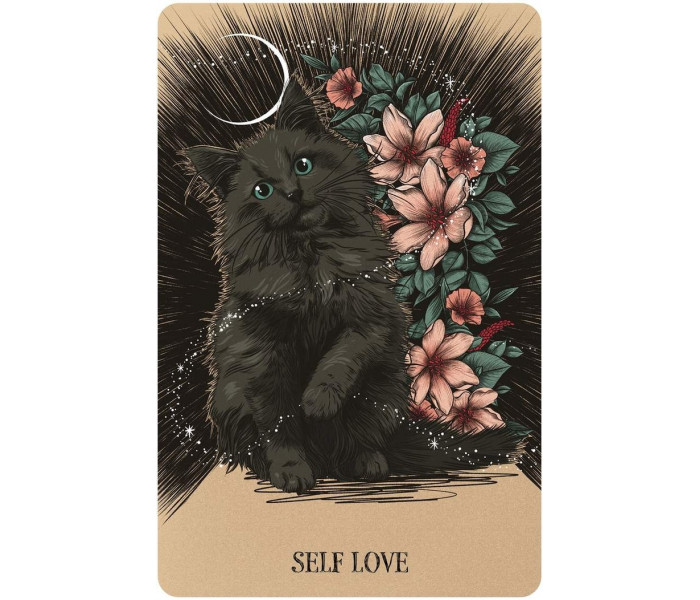 Судьба: Карманный Оракул Любви - Fated: A Pocket Love Oracle. Hay House