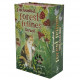 Котяче Таро Зачарованого Лісу - Enchanted Forest Felines Tarot. Llewellyn