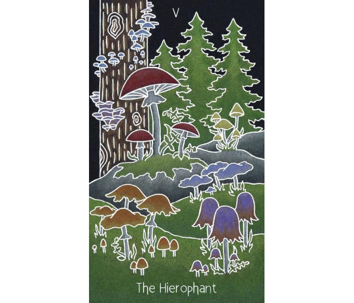 Анімістичне Таро - The Animystic Tarot. Schiffer Publishing
