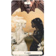 Таро Чарівних Годин - Magical Hours Tarot. US Games Systems