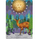 Оракул Пробуждения - Oracle Of Awakening. Weiser Books