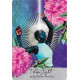 Оракул Пробуждения - Oracle Of Awakening. Weiser Books