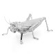 Металева збірна 3D модель Grasshopper. Metal Earth (ME1033)