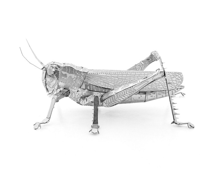 Металева збірна 3D модель Grasshopper. Metal Earth (ME1033)