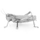 Металева збірна 3D модель Grasshopper. Metal Earth (ME1033)