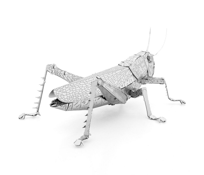 Металева збірна 3D модель Grasshopper. Metal Earth (ME1033)