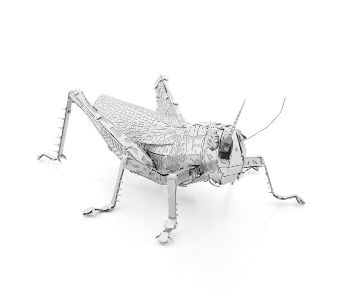 Металева збірна 3D модель Grasshopper. Metal Earth (ME1033)