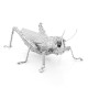 Металева збірна 3D модель Grasshopper. Metal Earth (ME1033)
