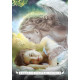 Оракул Ангела - Angel Oracle. Rockpool Publishing