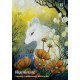 Оракул Магічної Землі - Enchanted Earth Oracle. Rockpool Publishing
